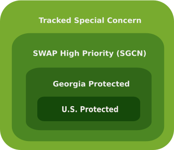 Hierarchy of Georgia Biodiversity Conservation Statuses