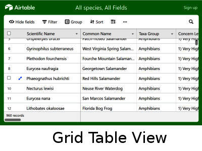 Grid Table View